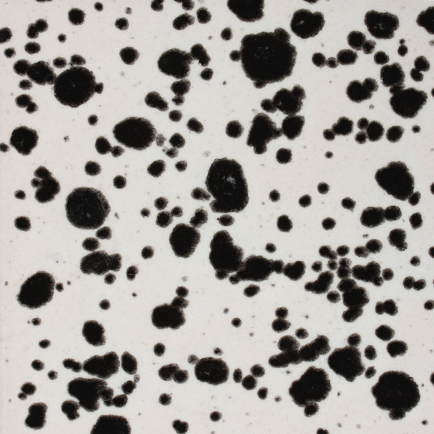 Ink Spots
