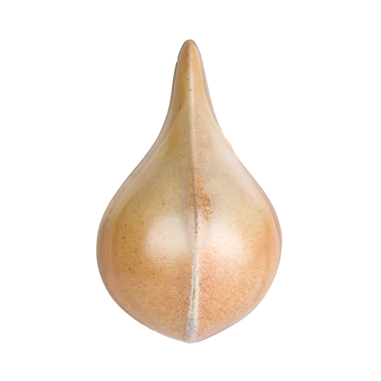 Cono 10 Reducción