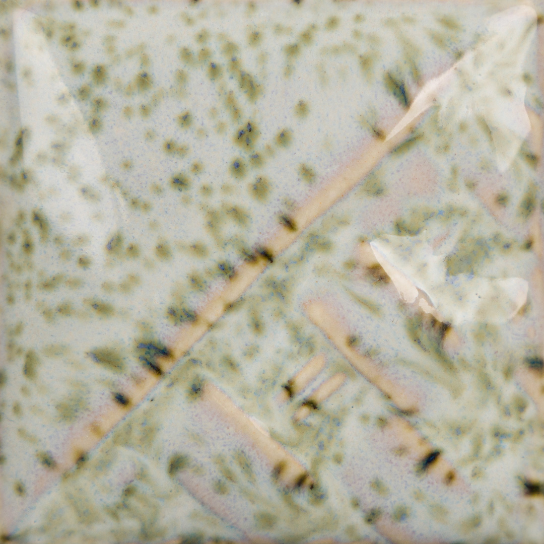 Lily Pad
