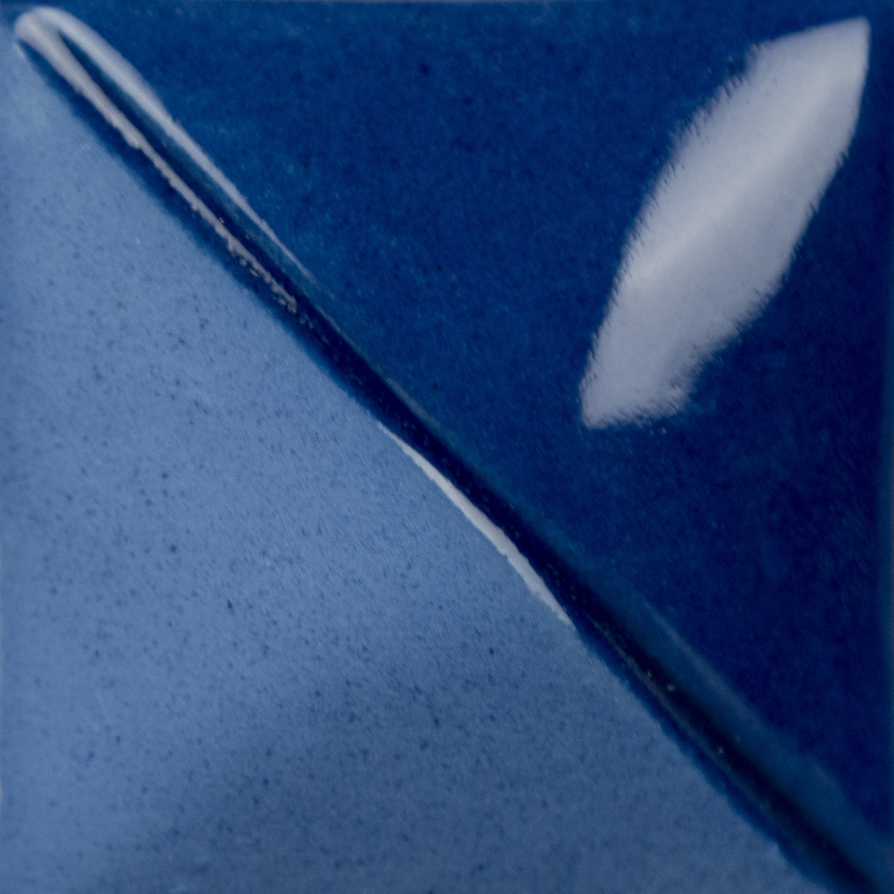 Kings Blue