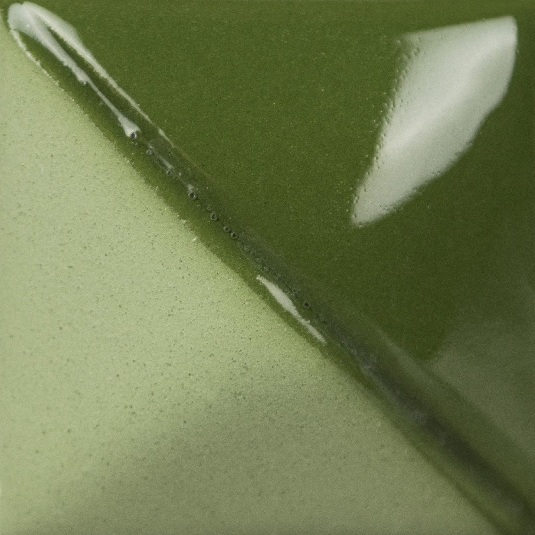 Leaf Green