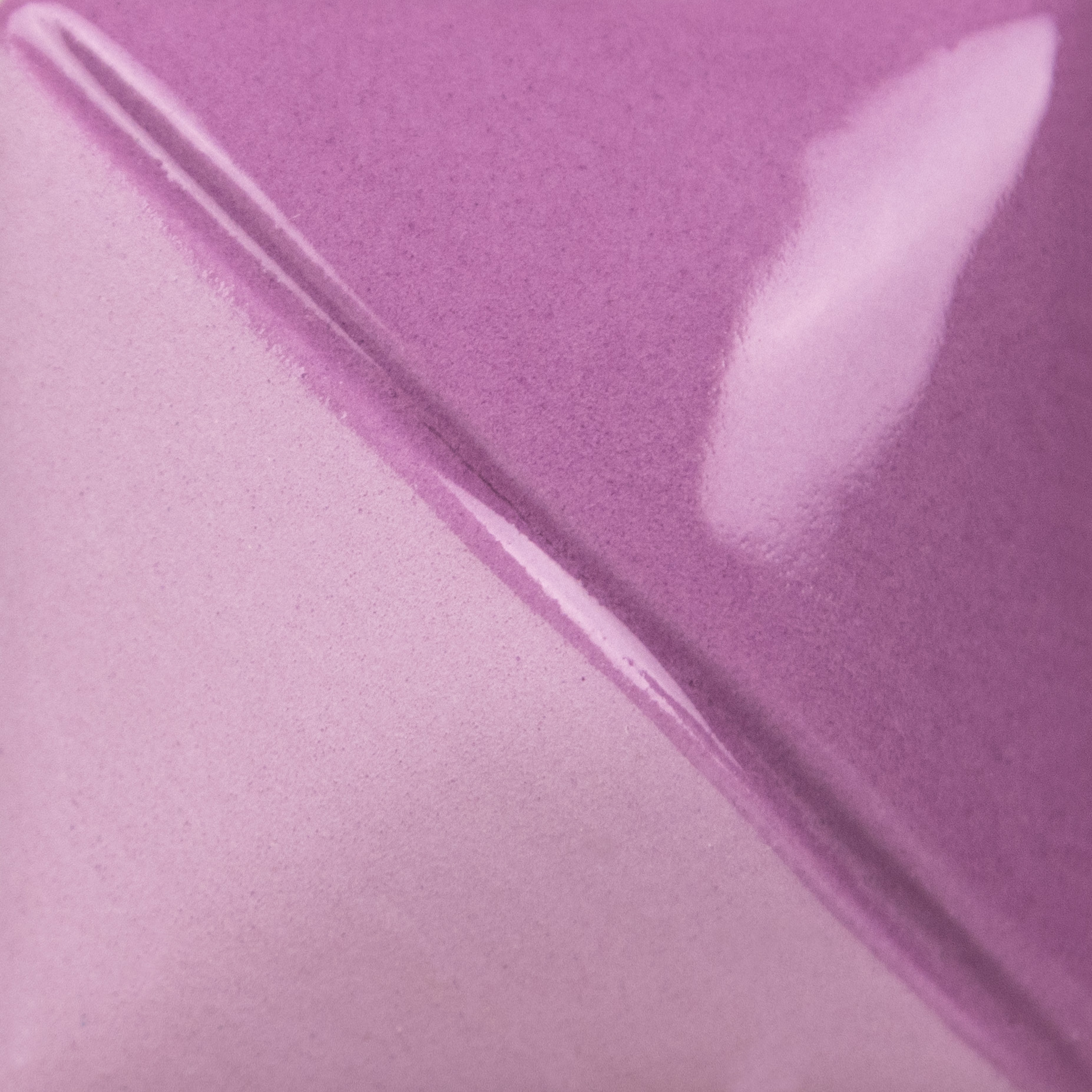 Regal Purple
