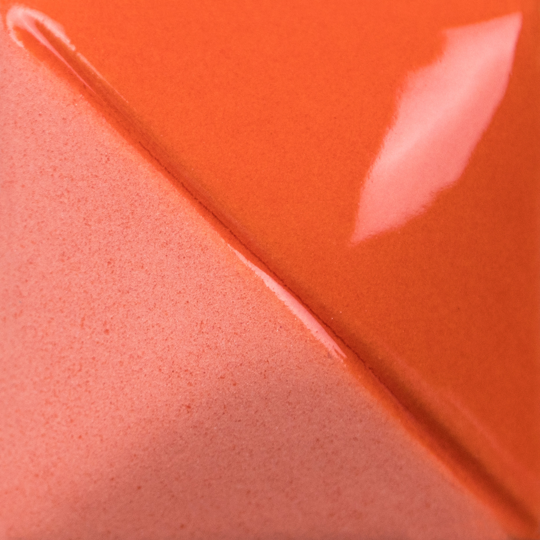 Red Coral